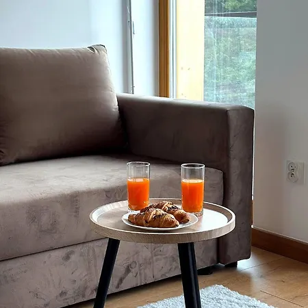 Lägenhet Nowopowstale Premium A10 I A11 I A12 Z Klimatyzacja I Parkingiem Podziemnym - Mountain & River - Izby Podhalanskie - Ogolnodostepna Sauna I Jacuzzi W Cenie *